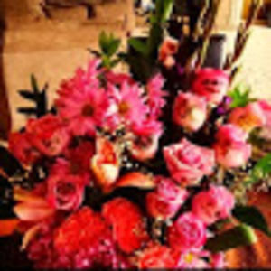 Meet your Posher, Moufedah